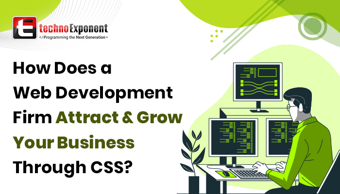 How does a Web Development company attract and grow your business through CSS