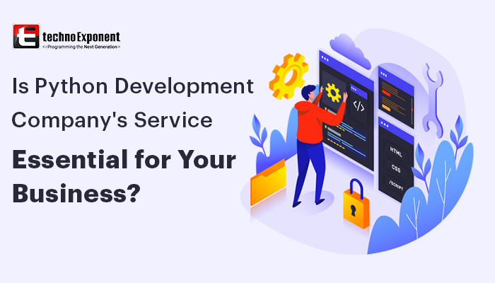 Is Python Development Company's service essential for your business