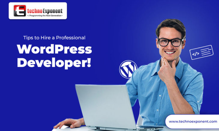 Wordpress Developer