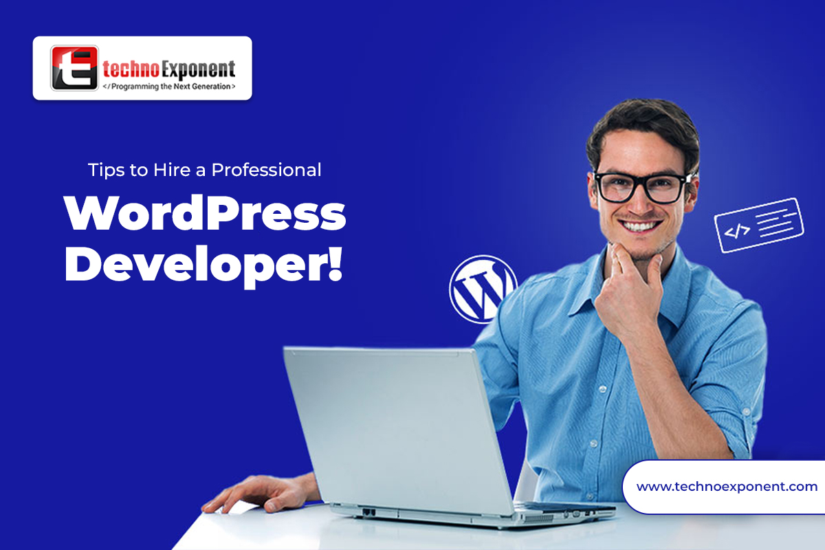 Wordpress Developer