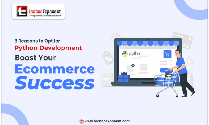 Custom Ecommerce Website Development: 8 Reasons to Opt for Python Development